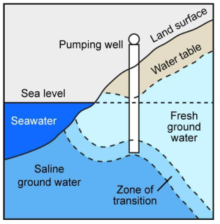 Salinity Intrusion