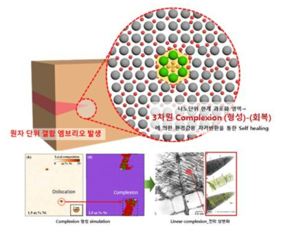 3차원 Complexion (형성)-(회복) 기반 Embryo 결함 자가치유