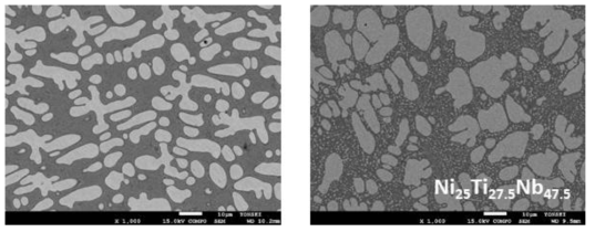 BSE images of NiTiNb phases in matrix phase