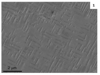 Co69.5Cr22Ti7Mo1.5 reference 조성의 SEM 이미지