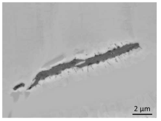 크랙 주변부에 열처리 과정에서 확산된 B 원소가 편석된 영역 BSE 이미지