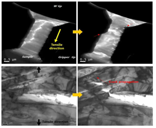본 연구진에 의해 개발된 TEM 실시간 인장 스테이지로 관찰한 금속 시편의 균열 전파 관찰 결과 예시