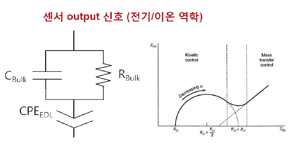 이온 역학 등가회로 및 EIS 분석