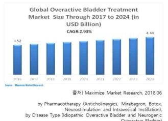 세계 과민성 방광 치료 시장