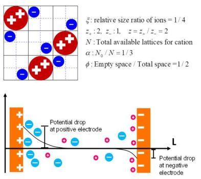 이온 크기 영향(위) 전극에서의 이온 분포(아래)