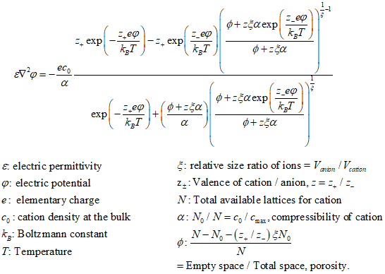 비대칭 이온의 전극에서의 분포 모델 지배방정식 및 parameter