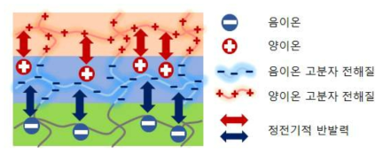 고분자 전해질 이중막에 의한 정전기적 척력으로 침습을 막는 이온 이동 방지막