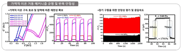 가역적 이온 거동 메커니즘 규명 및 반복 안정성 테스트