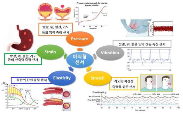 본 연구 전해질 소재 및 센서의 확장성