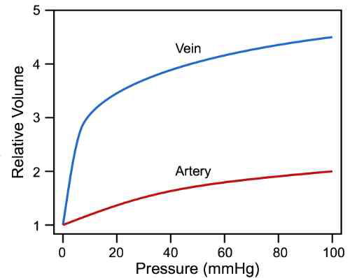 혈압과 혈관 부피의 상관관계, (https://www.cvphysiology.com/Blood%20Pressure/BP027)