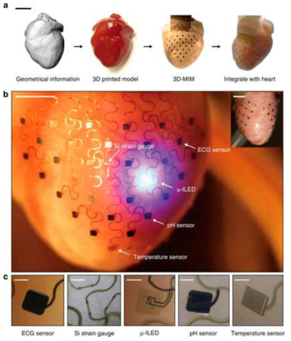 Serpentine 구조의 전극을 이용해 초박막형의 Si 기반의 센서와 칩을 이용해서 제작한 생체이식형 심장 센서