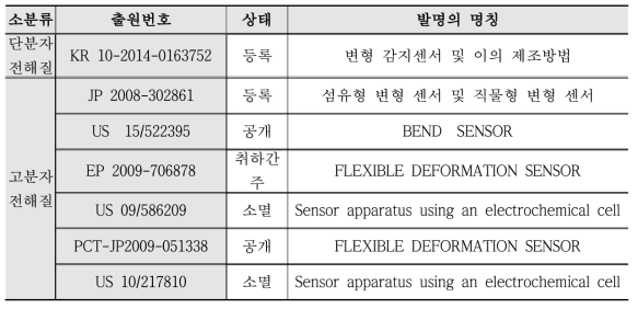 전해질 소재의 핵심특허 현황