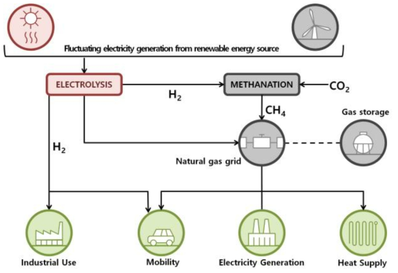 P2G system process