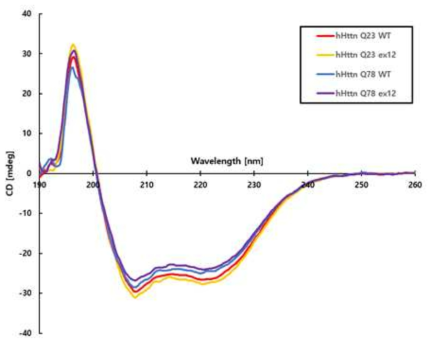 4가지 종류의 헌팅턴 단백질을 이용한 CD분석 결과 CD 실험은 총 4 가지의 단백질을 가지고 진행하였다. 실험 결과는 Q23 WT (빨간색), Q23 del12(노란색), Q78 WT(파란색) 그리고 Q78 del12(보라색)으로 표시하였다