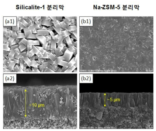 Silicalite-1 분리막의 (a1) 표면 및 (a2) 단면의 SEM 이미지 및 Na-ZSM-5의 (b1) 표면 및 (b2) 단면의 SEM 이미지