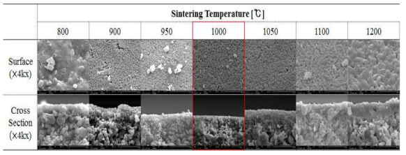 다공성 지지대의 소결온도별 미세구조 분석