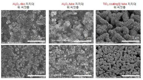 Al2O3 디스크형 지지대(왼쪽), Al2O3 tube형 지지대(중간), 그리고 TiO2를 코팅한 Al2O3 튜브형 지지대(오른쪽) 위에 MFI 씨앗을 증착시킨 씨앗층의 SEM 이미지