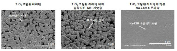 Bare TiO2를 코팅한 Al2O3 tube형 지지대(왼쪽), MFI 씨앗층을 증착시킨 지지대(중간), 그리고 씨앗층을 수열 합성하여 제작한 Na-ZSM-5 분리막(오른쪽)의 SEM 이미지