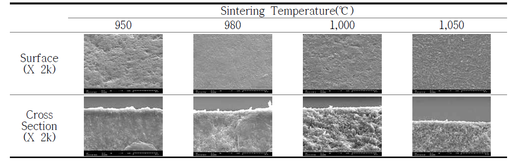 다공성 지지대의 소결온도별 미세구조 분석