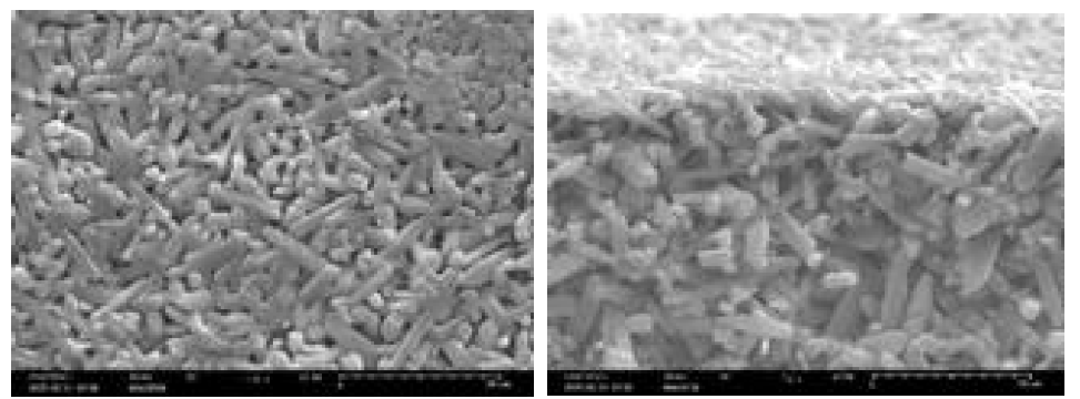 1차 Sintering 지지대의 미세구조 분석; 표면(왼쪽) 그리고 파면(오른쪽)