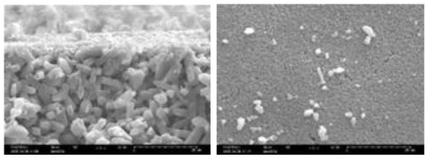 Asymmetric TiO2 다공성 지지대의 미세구조 분석