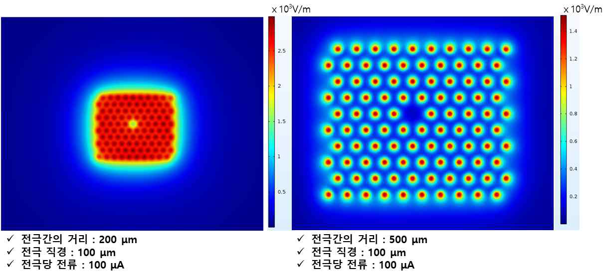 (좌) 전극간의 거리가 200 μm인 전극 어레이의 전기장 (우) 전극간의 거리가 500 μm인 전극 어레이의 전기장