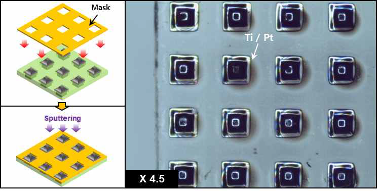 (좌) 3차원 돌출형 전극 표면에 금속을 증착시키기 위한 공정 모식도와 (우) Ti/Pt가 증착된 전극 표면
