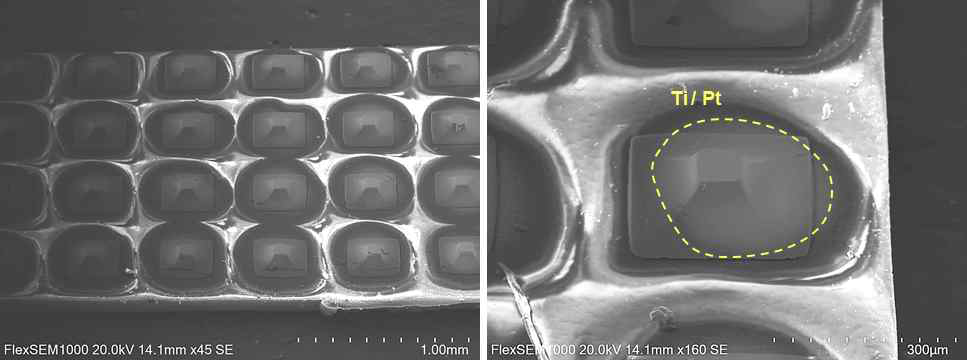 제작된 3차원 돌출형 전극 표면의 SEM 이미지