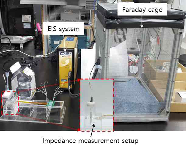 전극의 임피던스 측정을 위한 실험 셋업
