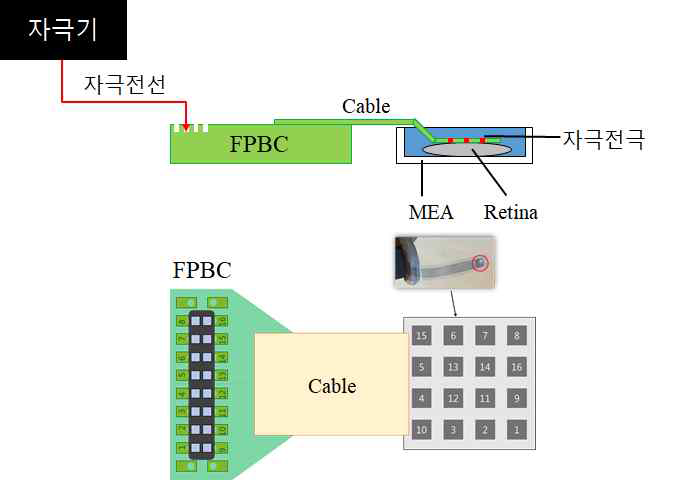 평면형 16채널 자극 전극 및 실험 셋업의 모식도