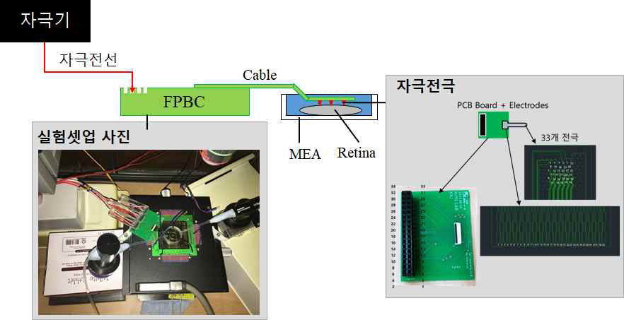 64채널 돌출형 다채널 자극 전극 및 실험 셋업의 모식도