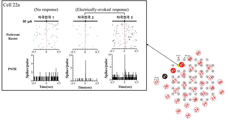 3개의 다른 전극에서 동일한 자극 펄스를 인가하는 경우에 대한 하나의 세포에서 나타나는 각기 다른 응답 특성