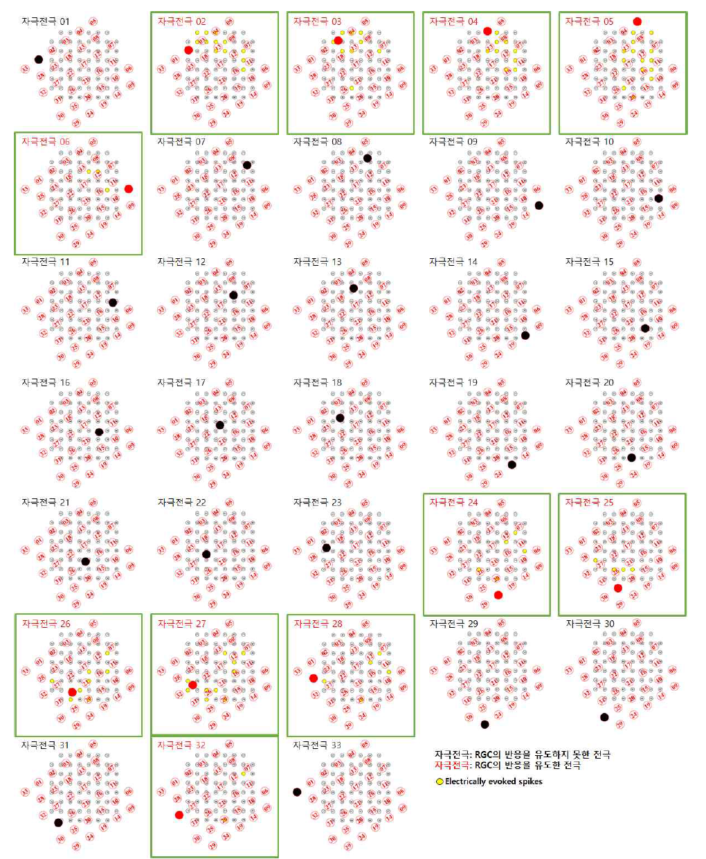 변성망막에 64채널 평면형 자극 전극을 통해 동일한 전기 자극을 인가한 후 MEA를 통해 망막 신경절세포의 반응을 기록 / 전기 자극에 대하여 응답을 보인 망막 신경절세포가 기록된 채널은 노란색으로 표시하였음