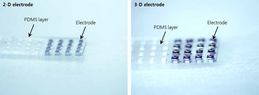(좌) 2차원의 평면형 전극과 (우) 3차원의 돌출형 전극