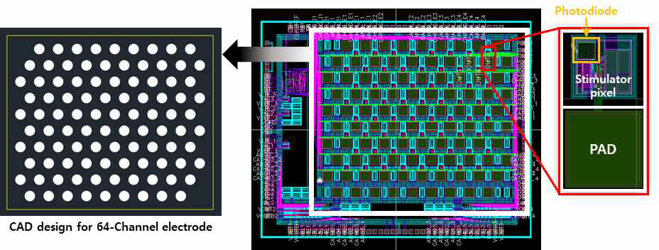 (좌) 64채널 전극 제작을 위한 CAD 디자인과 (우) 3세부 포토다이오드·자극기 시스템의 CAD 디자인