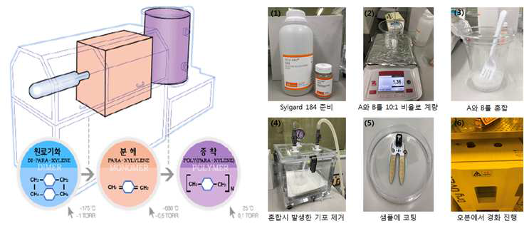 (좌) Parylene 코팅 과정과 (우) PDMS 코팅 과정