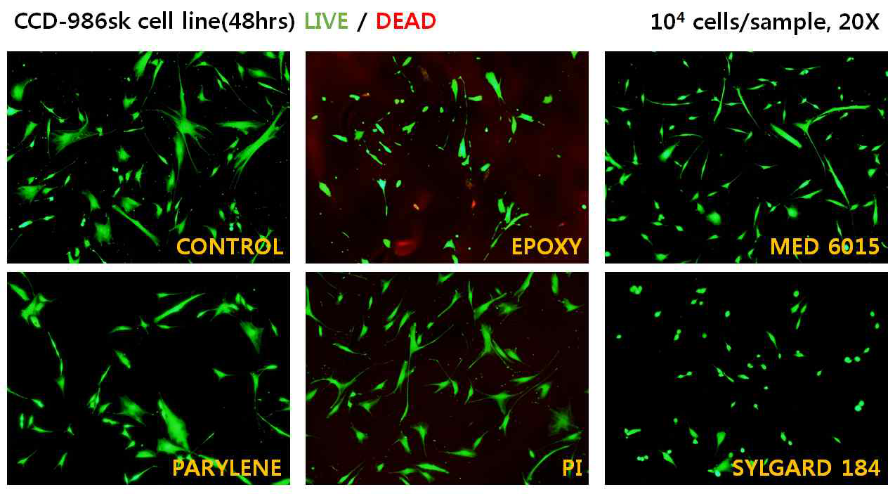 Cell viability 테스트 결과