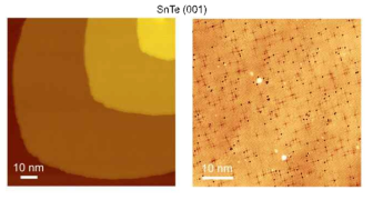 STM measurements of MBE grown topological crystalline insulator SnTe