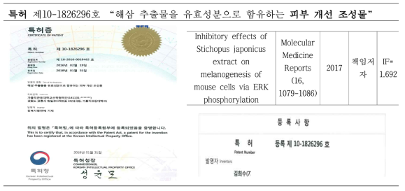 피부 개선 조성물 기획득 특허