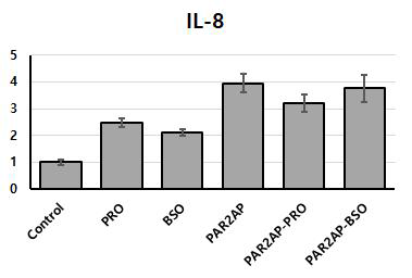 HaCaT에서 복분자 종자 추출 식물정유의 후처리 후 IL-8 염증 반응 억제 평가