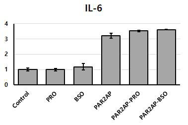 HaCaT에서 복분자 종자 추출 식물정유의 후처리 후 IL-6 염증 반응 억제 평가