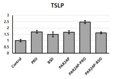 HaCaT에서 복분자 종자 추출 식물정유의 후처리 후 TSLP 염증 반응 억제 평가