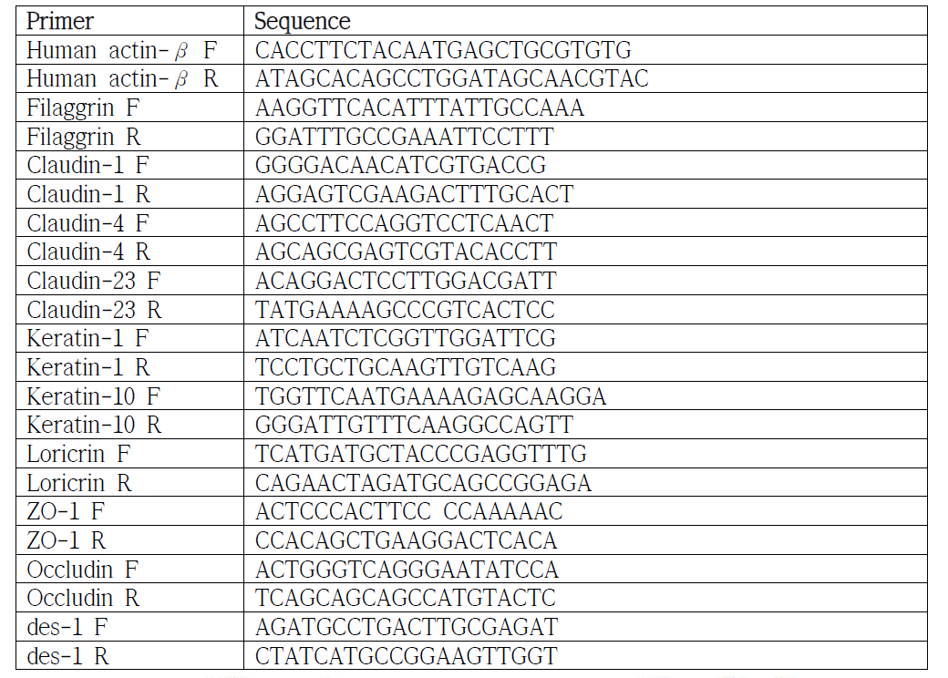 치밀이음과 표피 각질 세포 분화 관여 단백질의 발현 real-time PCR primer 목록