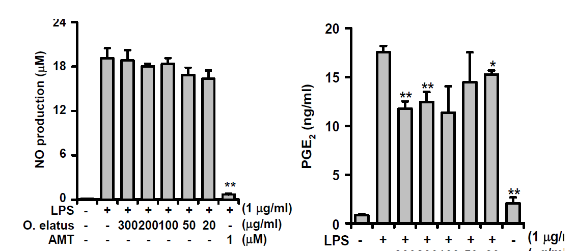iNOS와 COX-2 효소 활성 저해에 의한 NO, PGE2 생성 억제 활성