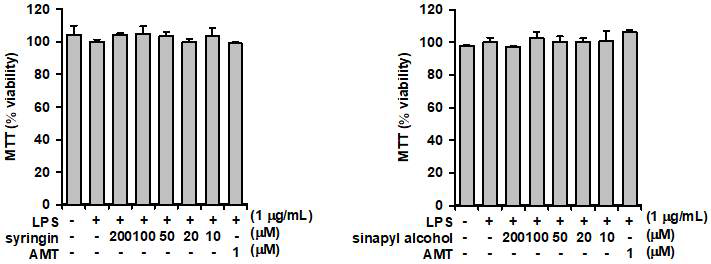 syringin 및 synapyl alcohol 세포독성확인