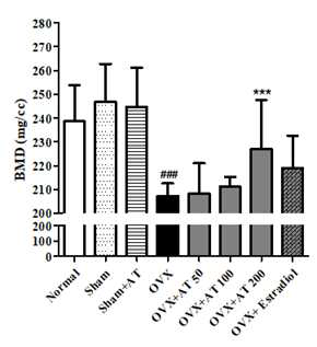 Bone Mineral Density (BMD, mg/cc)