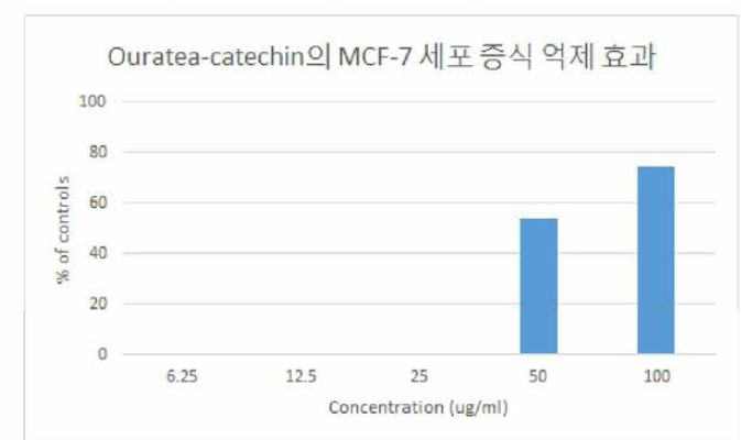 인체 유방암 세포 MCF-7에 대한 ouratea-catechin의 증식 억제 효과 평가