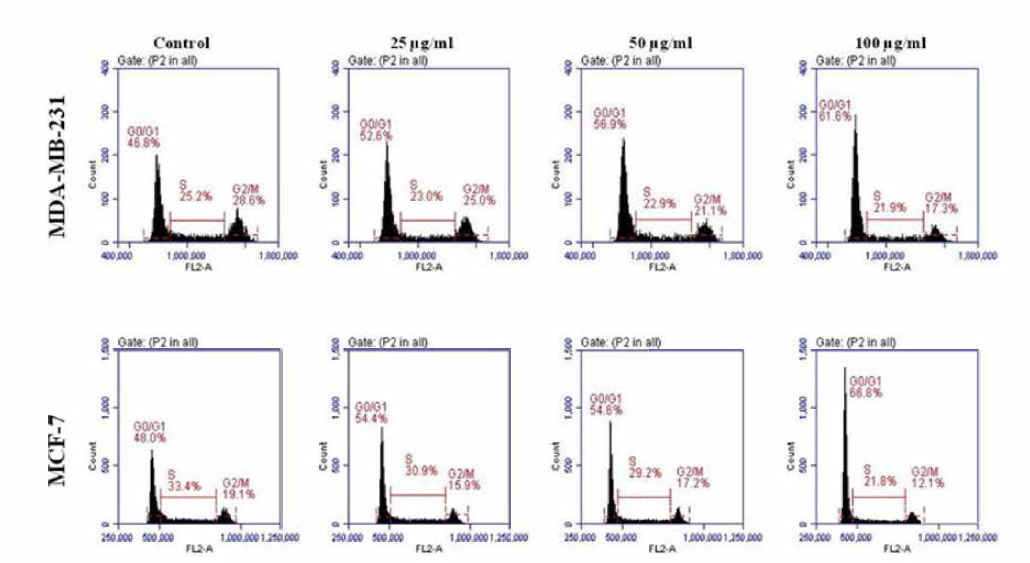 인체 유방암 세포 MDA-MB-231, MCF-7에 대한 오갈피 MeOH 추출물로부터 얻은 n_Hex 분획의 cell cycle 조절 효과