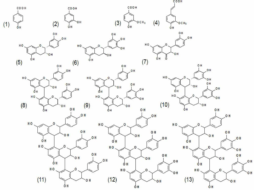 90°C 열수 탈착물로부터 HPLC-MS와 HPLC-MS/MS 분석 에 의하여 추정 및 동정된 화합물의 화학적 구조. (1) p-hydroxybenzoic acid, (2) protocatechuic acid, (3) vanillic