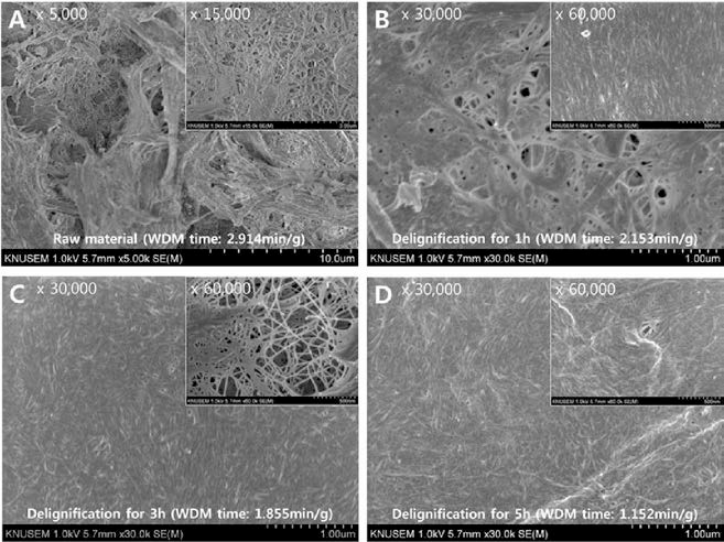 Morphology of nanofibers with different delignification degree and WDM time